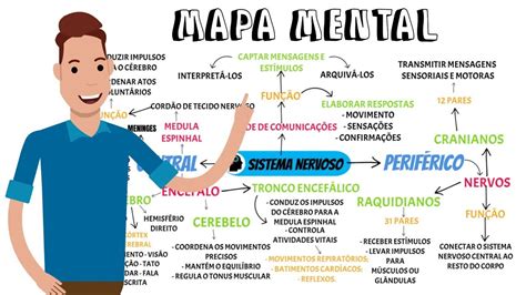 MAPA MENTAL Sistema Nervoso YouTube