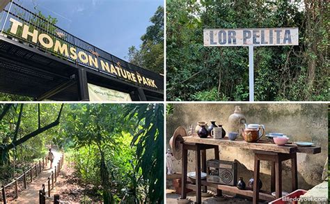 Thomson Nature Park: Walk Amongst The Ruins Of A Hainanese Village ...