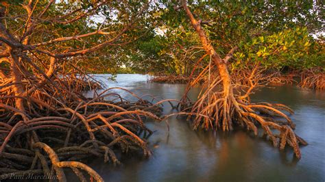 Florida Panoramas | Florida Landscape Photography by Paul Marcellini