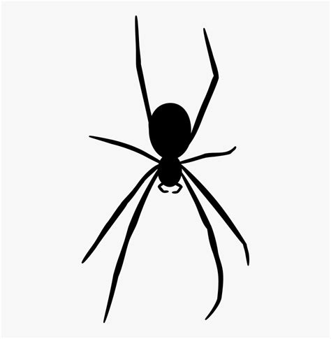 Spider Silhouette - Black Spider Transparent Background, HD Png Download - kindpng