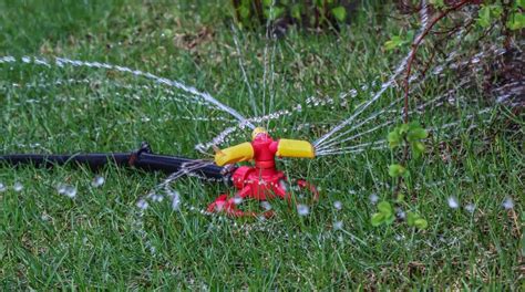 Best Lawn Sprinklers Guide For Different Lawns And Budgets Pro Tool