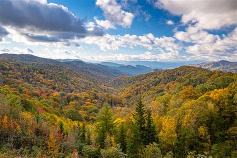 Top 4 Things to Know About Experiencing Fall Foliage in the Smoky Mountains