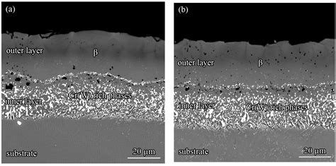 Coatings Free Full Text Microstructure And Oxidation Resistance Of