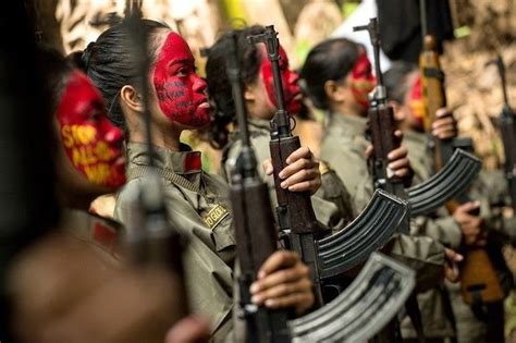 All Negros Npa Fronts Dismantled Army