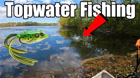 Topwater Fishing For Bass And Slime Darts BIG BLOWUPS YouTube