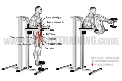 Weighted captain's chair leg and hip raise exercise instructions and video