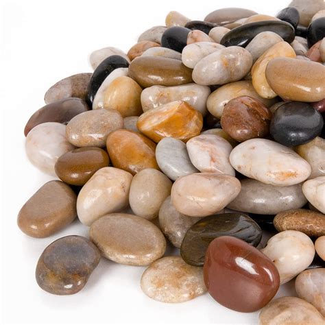 Decorative Pebbles For Vases Shelly Lighting