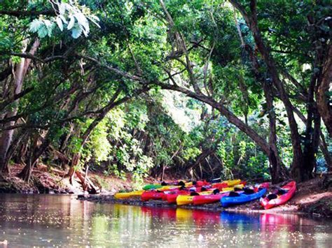 Rainbow Kayak - Secret Falls Tour - Hawaii Discount