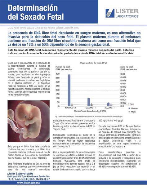 Determinación Del Sexado Fetal Lister Laboratorios De Análisis Clínicos