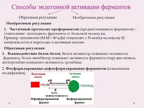 Ферменты. Строение ферментов - презентация онлайн