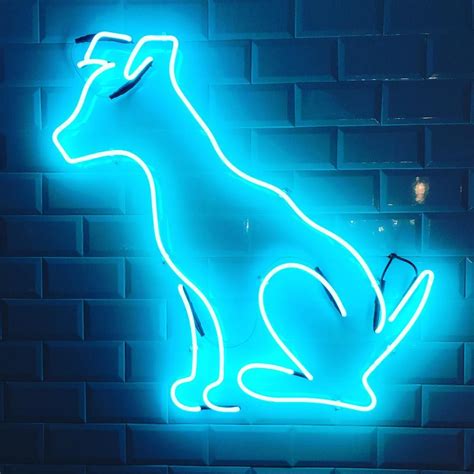 #neon #lights #puppy #blue | Neon signs, Neon, Led neon signs