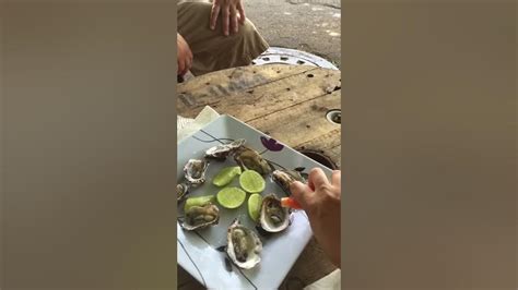 Oysters In Puerto Rico Youtube