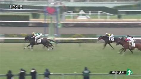 ポルカリズム新馬戦快勝！！ 恐妻家キー坊の一口馬主日記