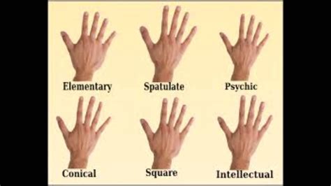 Palmistry Lesson Hand Types And Hand Flexibility Asmr Youtube