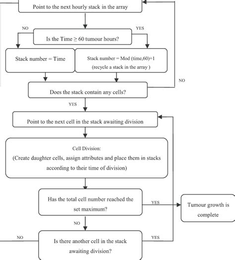 Cell division algorithm flow chart, where all references to time and in... | Download Scientific ...