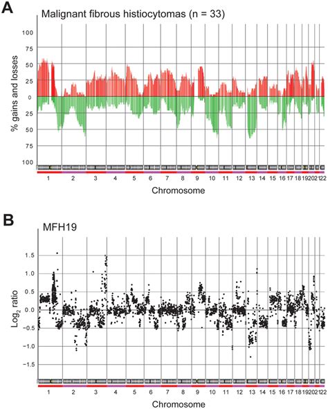 Dna Copy Number Alterations A Genome Wide Frequency Plot Of Copy Download Scientific Diagram