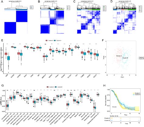 Figure 1 From Comprehensive Analysis Of The Significance Of Hypoxia