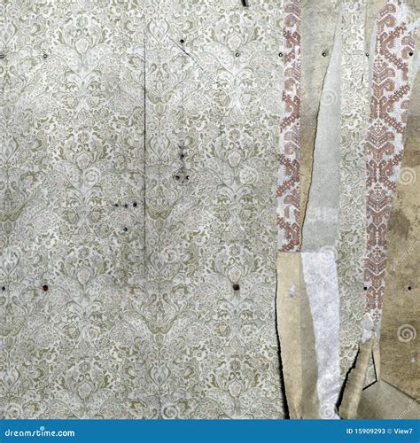 Torn Floral Wallpaper Royalty Free Stock Photography Cartoondealer