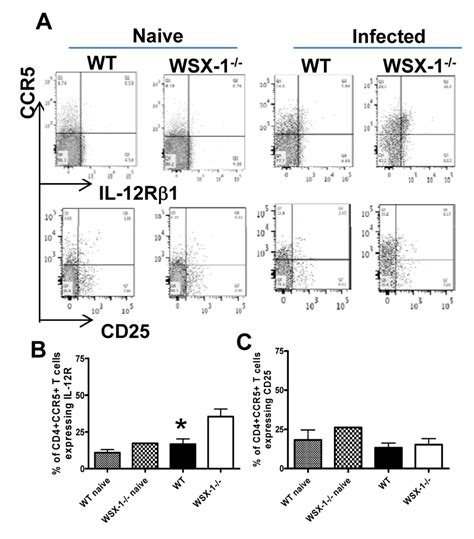 Coordinated Expression Of Ccr5 With Il 12r On Cd4 T Cells Derived