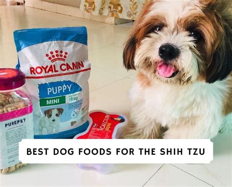 What Is The Best Natural Shih Tzu Chewable Food