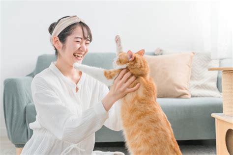 『抱っこ嫌いな猫』にもワケがある！抱っこが嫌がる4つの心理と、慣れてもらう方法 2024年9月2日 エキサイトニュース