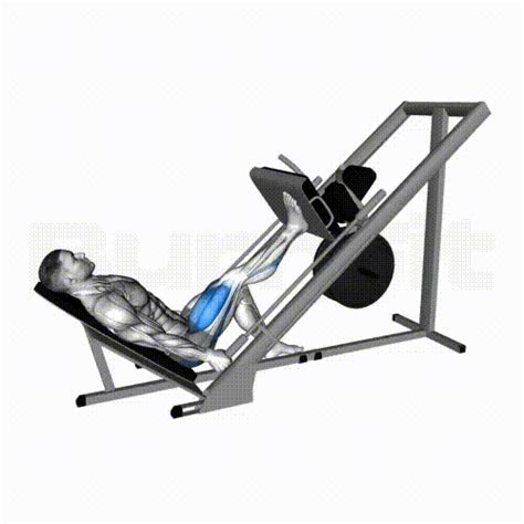 Single Leg Leg Press Smash Your Limit Burnfit