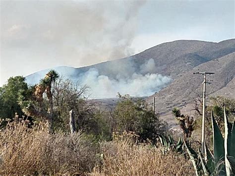 Combaten incendios forestales en Galeana Nuevo León