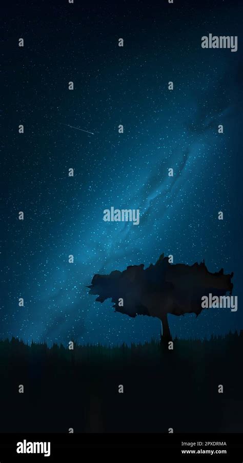 Ciel Toil Avec Arbre Banque D Images Vectorielles Alamy