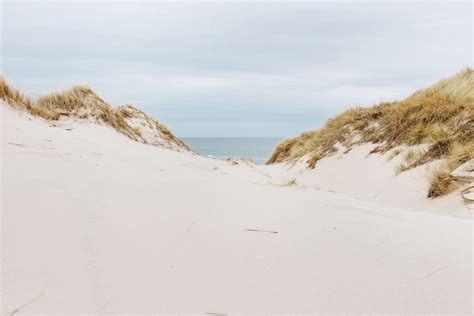 Top Beaches to Visit in Denmark