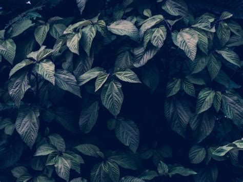 "Cinematic Background" Images – Browse 812 Stock Photos, Vectors, and ...