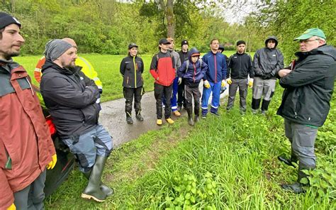 Grundsch Ler Aus Rehlingen Setzen B Ume An Der Nied