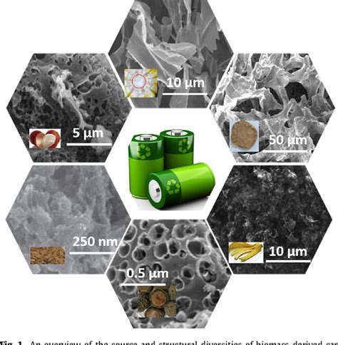 Figure 3 From Biomass Derived Porous Carbon Materials For Advanced