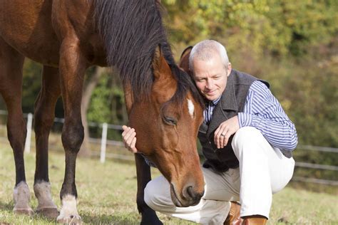 Wie Du Mit Deinem Pferd Klar Aber Ohne Druck Kommunizierst Loggen Sie