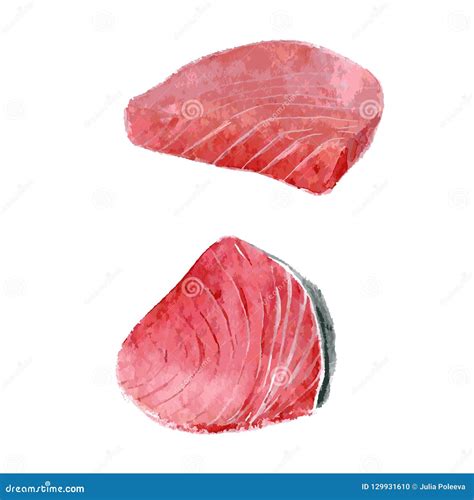 Bife Do Atum Ilustração Da Aquarela Isolada Vetor Ilustração do Vetor