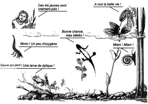 Repartition Des Etre Vivants Et Oxygenation De La Mer