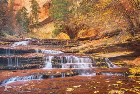 Arch Angel Falls Zion National Park Alan Crowe Photography