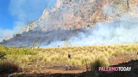 Incendio Ai Piedi Di Monte Pellegrino Le Fiamme Minacciano La Zona