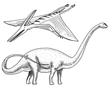 Sauropods Coloring Page Coloring Pages