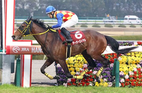 【阪神大賞典】テーオーロイヤル圧勝 得意の長丁場で重賞3勝目 スポーツ報知