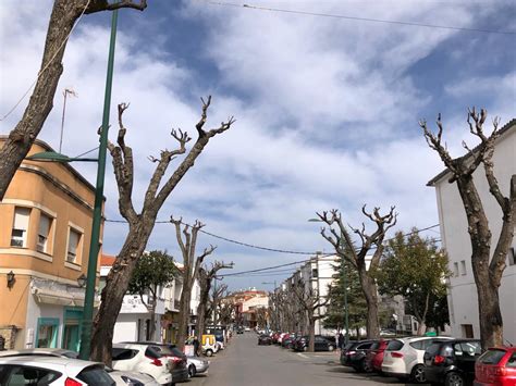 La Concejal A De Parques Y Jardines De Zafra Est Actuando Contra La