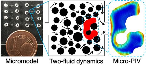 Flow And Transport Porous Media Thermo Fluids Interfaces Lab