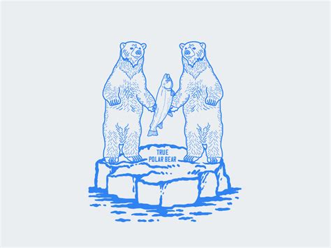 30 Best Polar Bear Illustration Ideas You Should Check