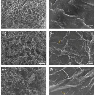 Low Magnification SEM Images Of The Cellular Structure Of GO A