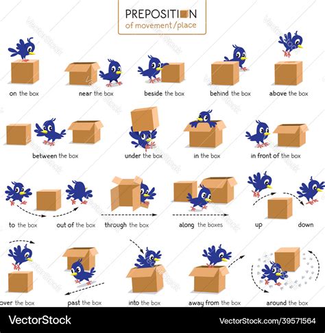 Preposition Of Place And Movement Bird And Box Vector Image