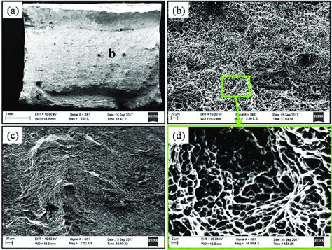 Sem Images Of Fractured Surface Of Tensile Test Specimen Of Eb Weld