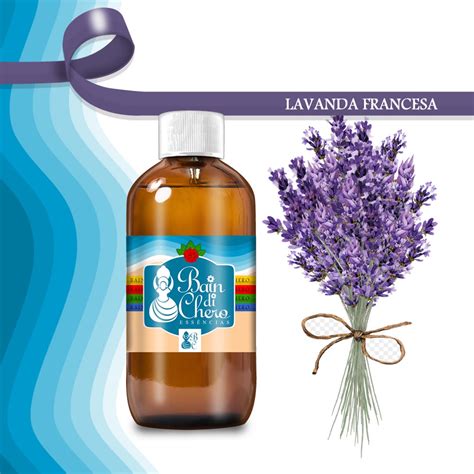 Essência Aromática Concentrada P Cold e Hot Process Lavanda Francesa ml Shopee Brasil