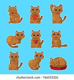 Set Cartoon Character Cat Poses Stock Vector Royalty Free