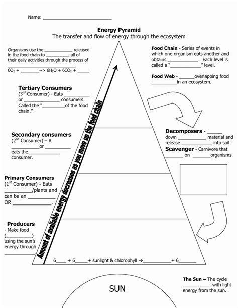 30 Ecological Relationships Worksheet Worksheets Decoomo