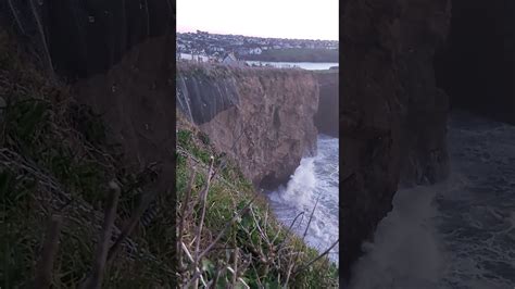 Bats On The Whipsiderry Cliffs Porth Cornwall YouTube