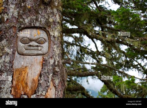 Tlingit Carving At The Trunk Of A Living Tree Symbolising A